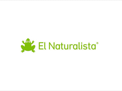 Embrace the Sunshine Coast Summer in Comfort and Style with El Naturalista Footwear