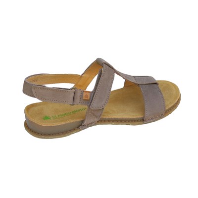 EL NATURALISTA N5816 Pleasant - Plume