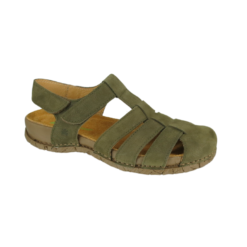 EL NATURALISTA N5862 Pleasant - Forest