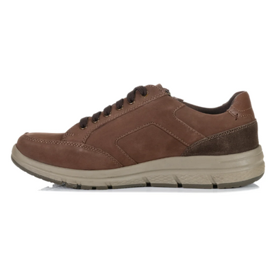 JOSEF SEIBEL Giuseppe 08 - Brandy