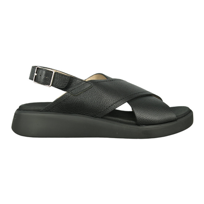 WONDERS Amelioa - Wild Negro