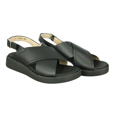 WONDERS Amelioa - Wild Negro
