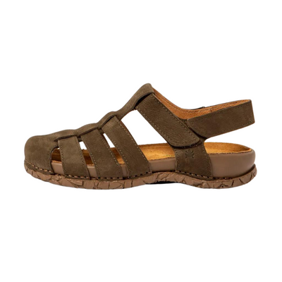 EL NATURALISTA N5862 Pleasant - Forest