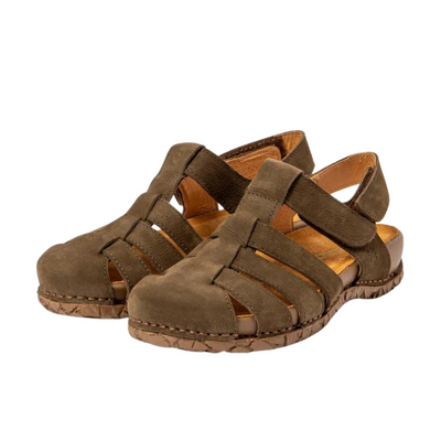 EL NATURALISTA N5862 Pleasant - Forest