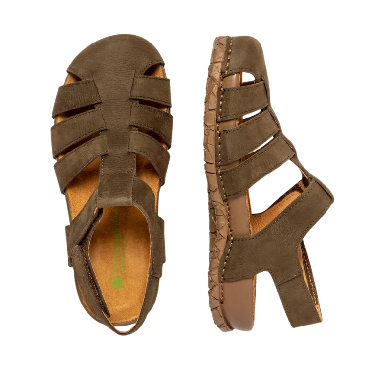 EL NATURALISTA N5862 Pleasant - Forest