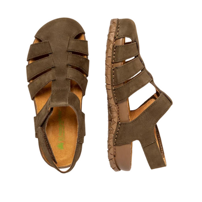 EL NATURALISTA N5862 Pleasant - Forest