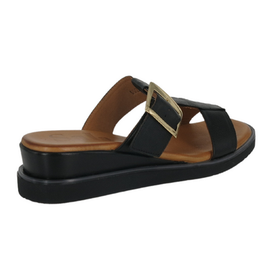 SALA Web - Black