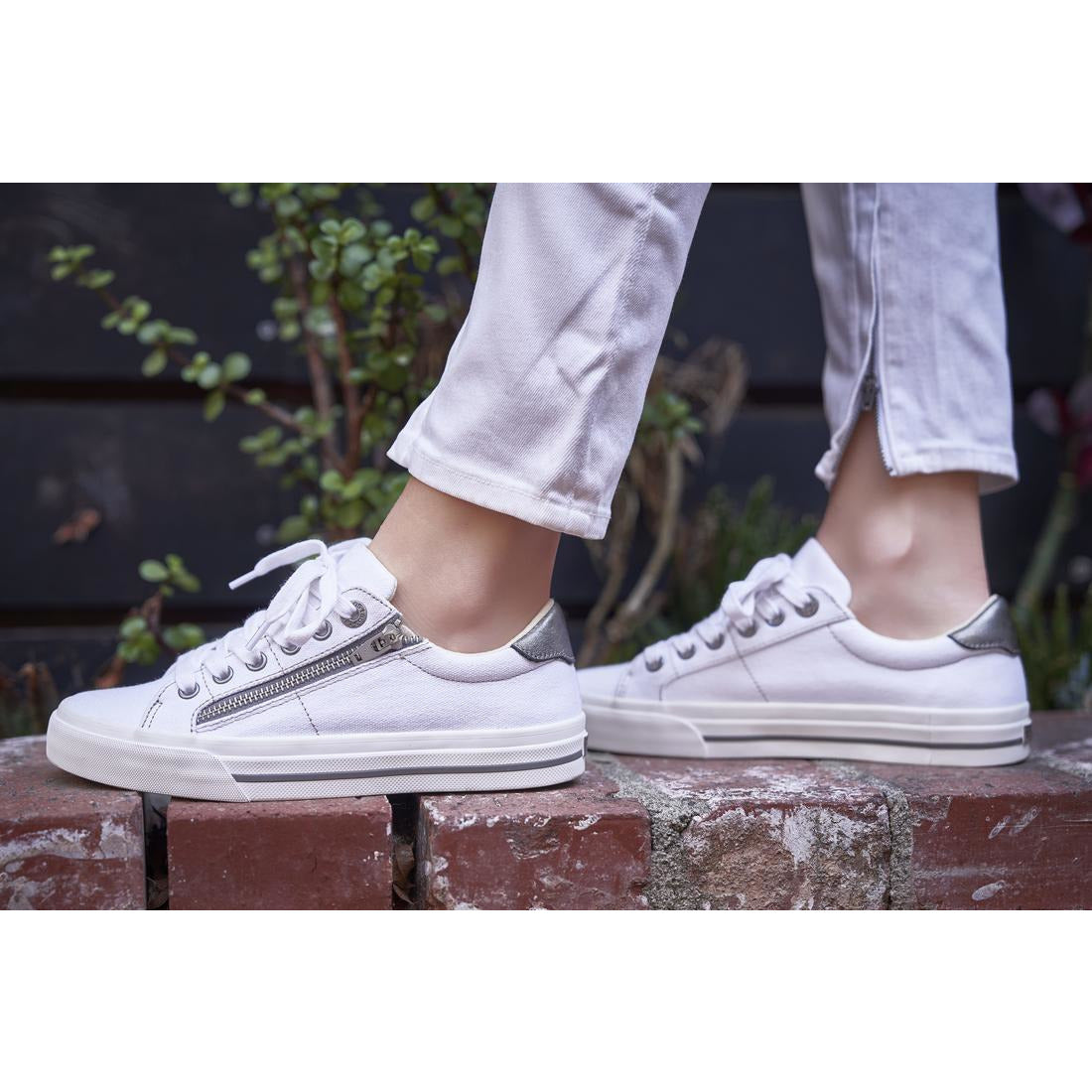 TAOS  Z-Soul Canvas - White