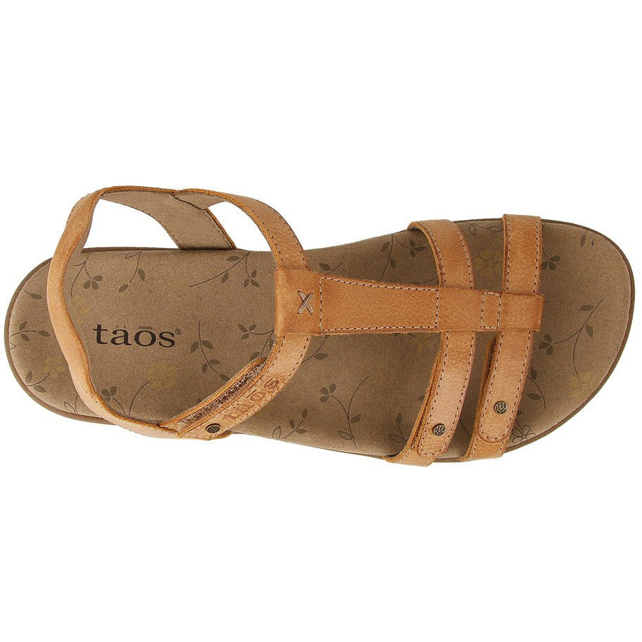 TAOS  Trophy 2 - Honey