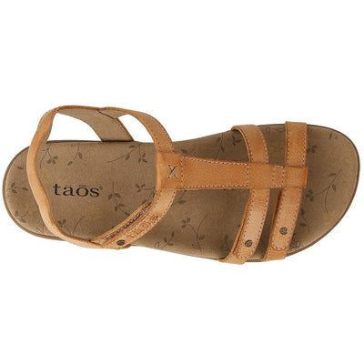 TAOS  Trophy 2 - Honey